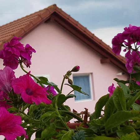 Отель Casa Lili Хацег Экстерьер фото