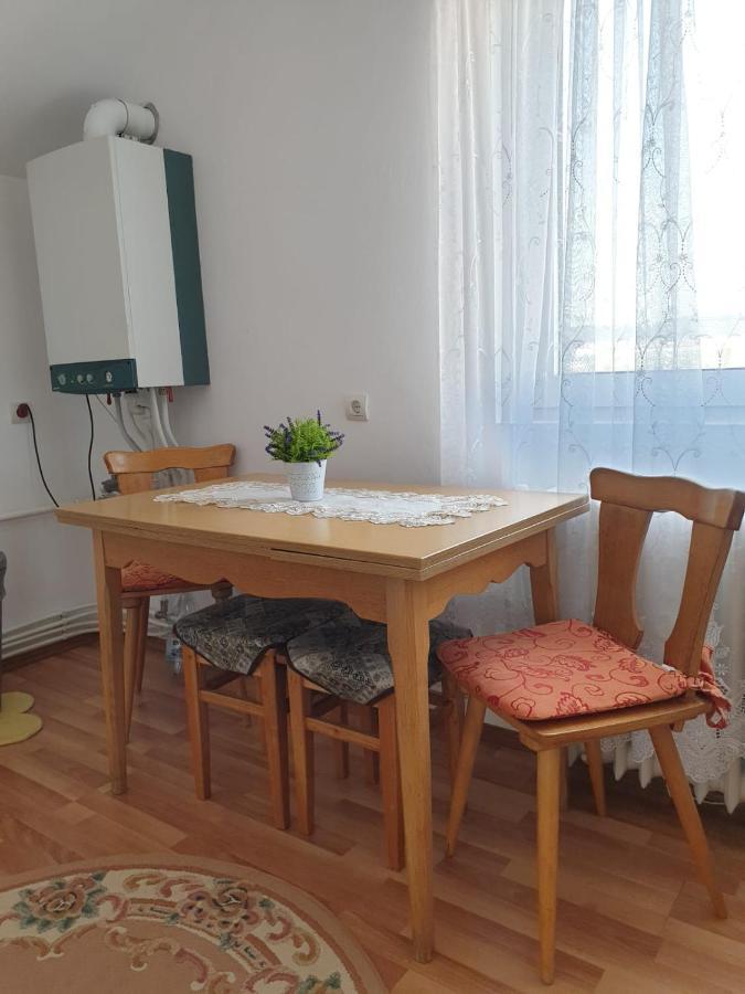 Отель Casa Lili Хацег Экстерьер фото