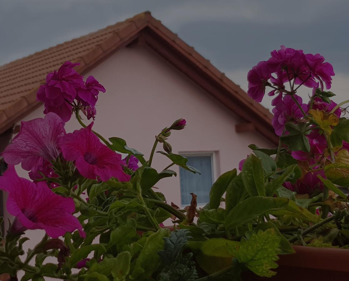 Отель Casa Lili Хацег Экстерьер фото