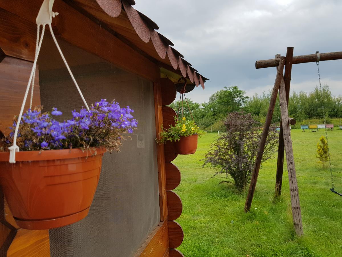 Отель Casa Lili Хацег Экстерьер фото