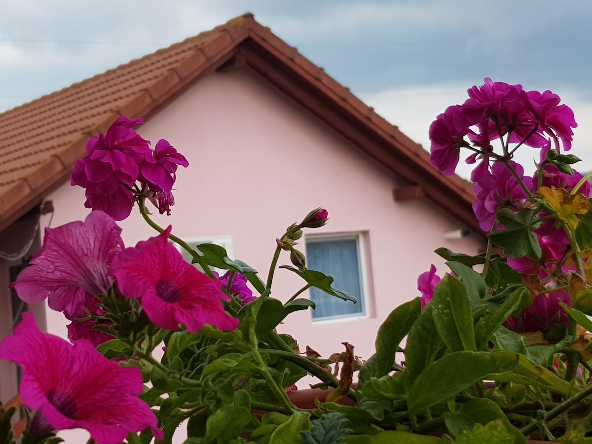 Отель Casa Lili Хацег Экстерьер фото